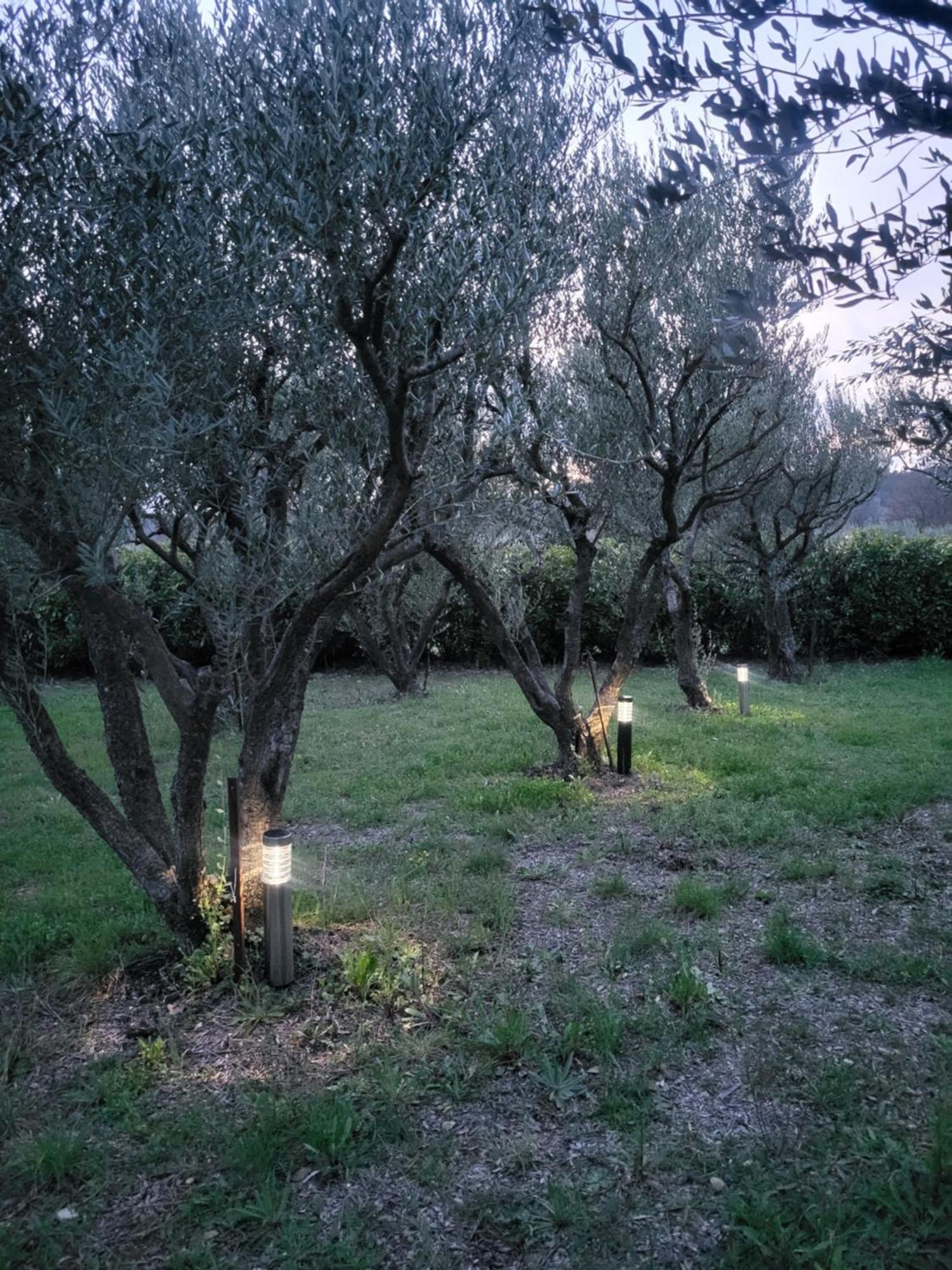 Maison Dans La Provence Verte 코티냑 외부 사진
